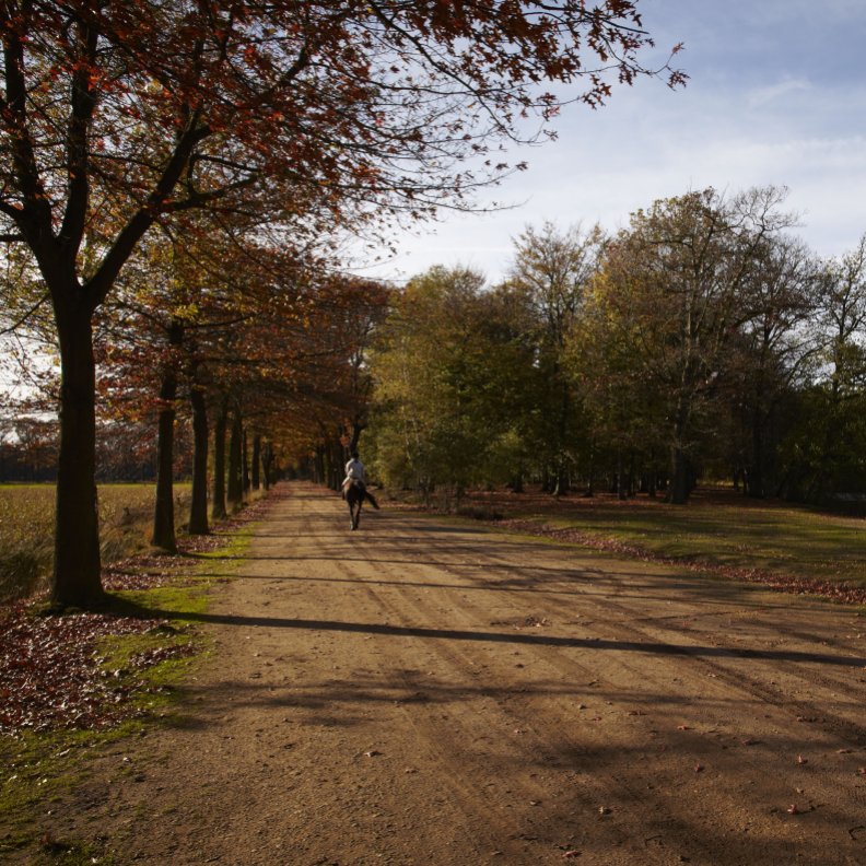 Kolonie_IMG_9405.jpg