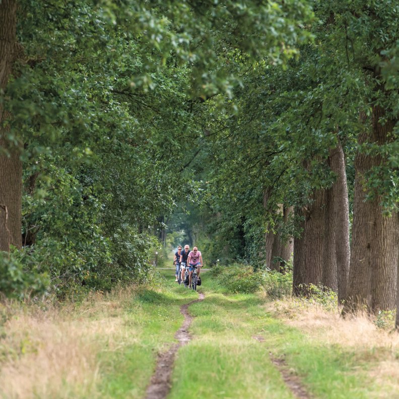 Fietsers door een laan in Wortel (c) James van Leuven