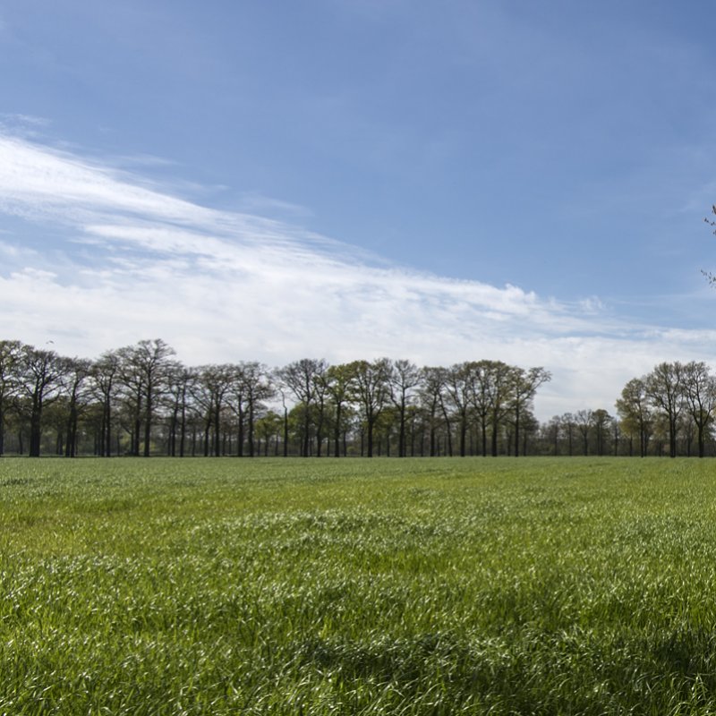 Merksplas;België;landschap;2016;James van Leuven