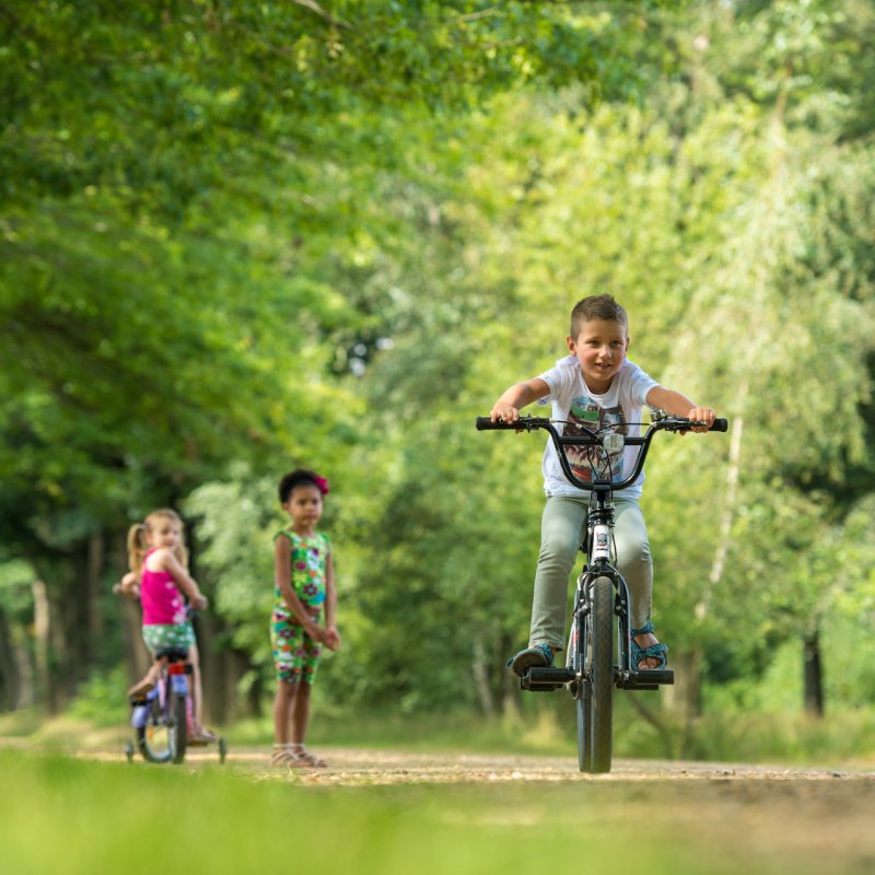 belgie;wortel;merksplas;kinderen;dreef;fietsen;2016;raf ketelslagers
