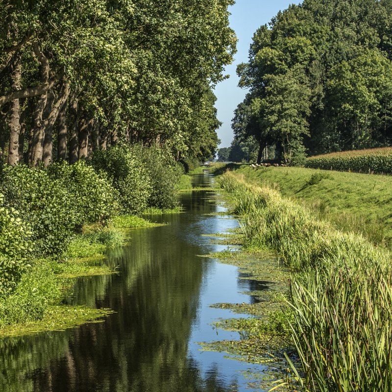 Veenhuizen;Nederland;landschap;James van Leuven;2016