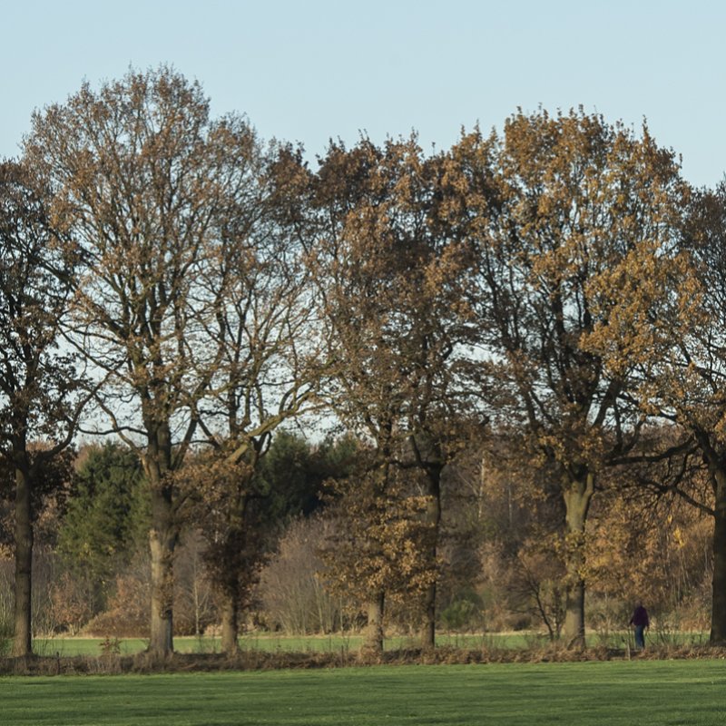 wilhelminaoord;nederland;2016;James van Leuven