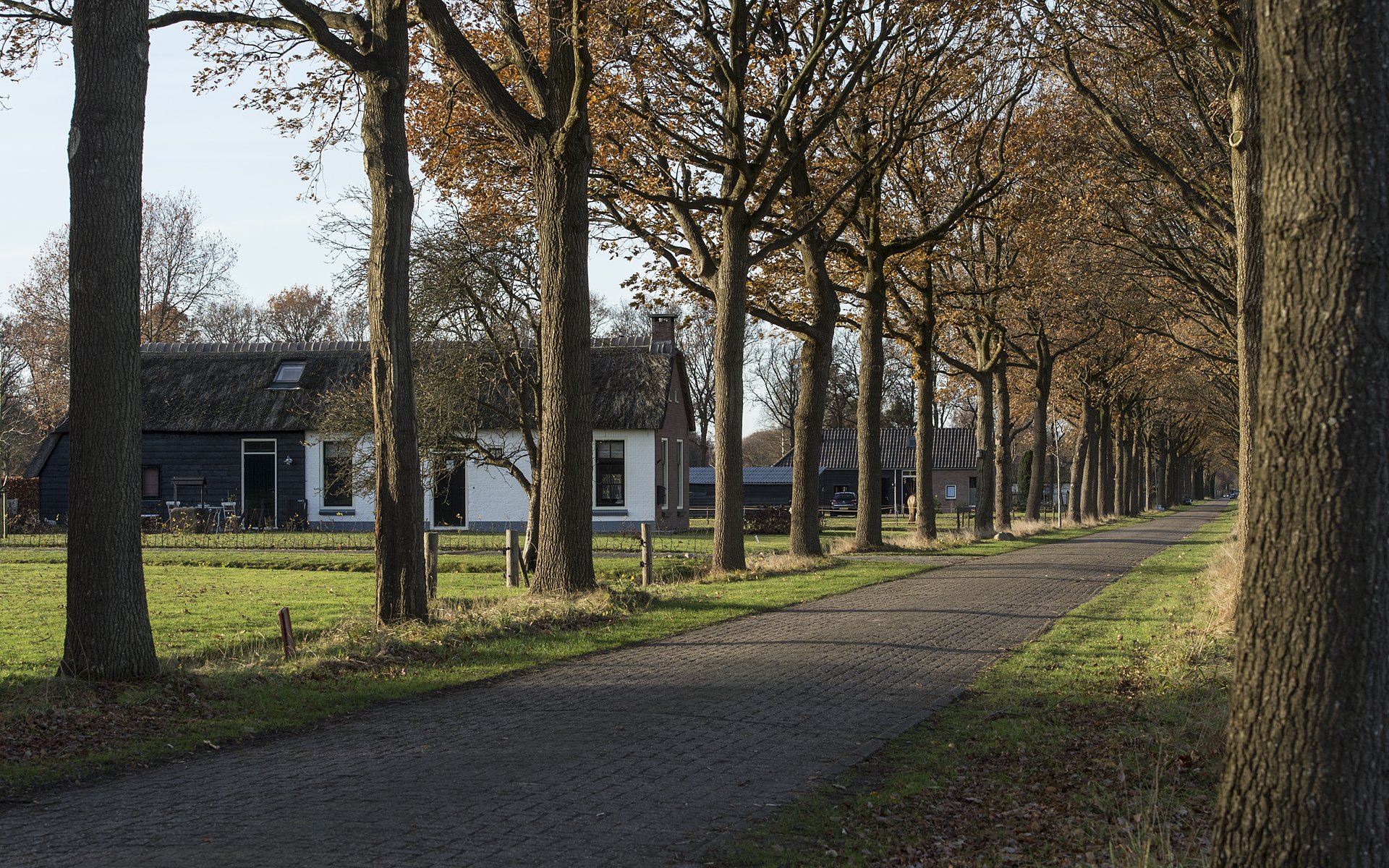 Wilhelminaoord 